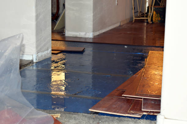 Professional Water Damage technician working in Hager City, WI